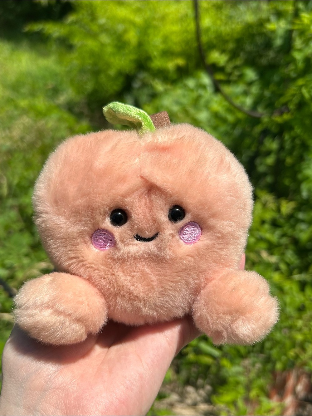 Peach Palm Pal